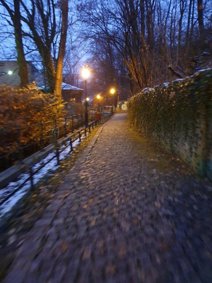 Apartamenty Magiczna Wenecja Cieszyn  Dış mekan fotoğraf